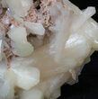 Large Stilbite Crystals with Micro Stilbite - India #44357-1